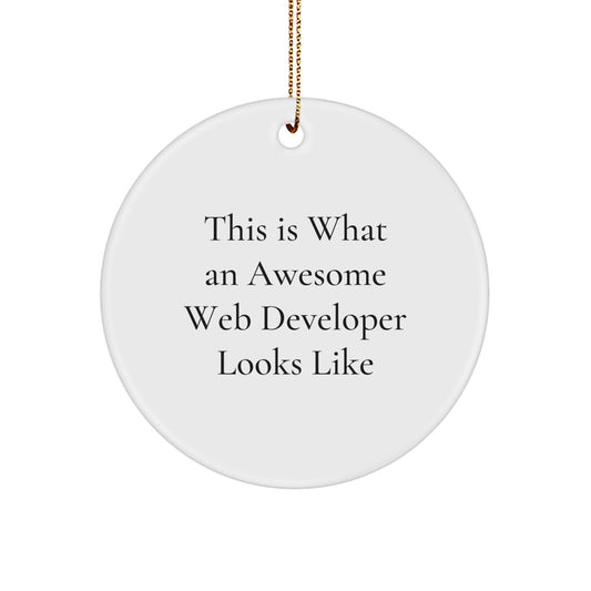 Gifts from Family for Web Developers, 'This Is What An Awesome Web Developer Looks Like', Unique Christmas Unique Gifts, Circle Ornament, Web Developer Appreciation, Office Decor - Image 1