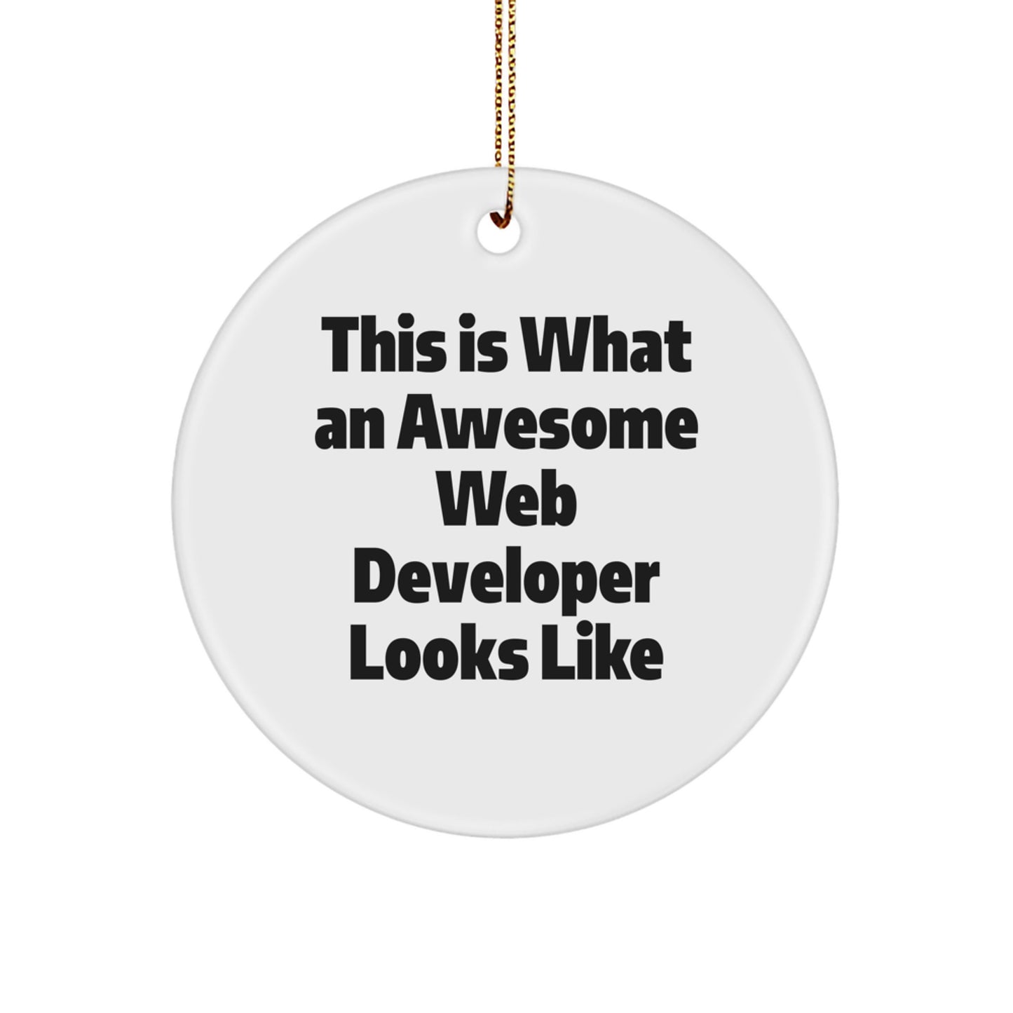 Funny Web Developer Gifts from Friends, Unique Circle Ornament for Men, This 'Is What an Awesome Web Developer Looks Like' Inspirational Christmas Unique Gifts - Image 1