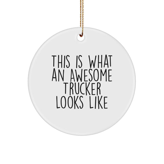 Funny Trucker Gifts from Friends, Men, or Family - This Is What An Awesome Trucker Looks Like Circle Ornament for Christmas Unique Gifts - Image 1