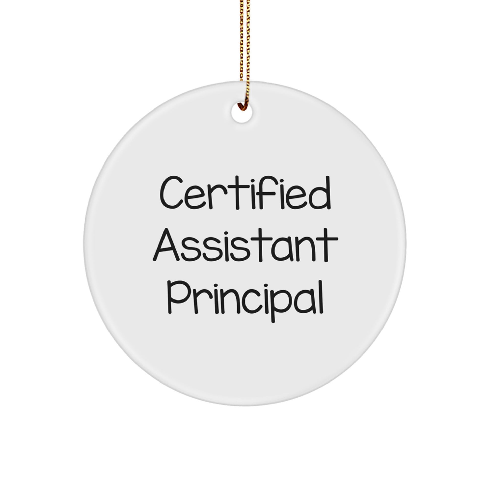 Funny Assistant Principal Gifts from Friends - Cute Certified Assistant Principal Ornament, Perfect Christmas Unique Gifts for Men or Women - Image 1