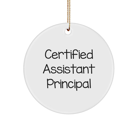 Funny Assistant Principal Gifts from Friends - Cute Certified Assistant Principal Ornament, Perfect Christmas Unique Gifts for Men or Women - Image 1