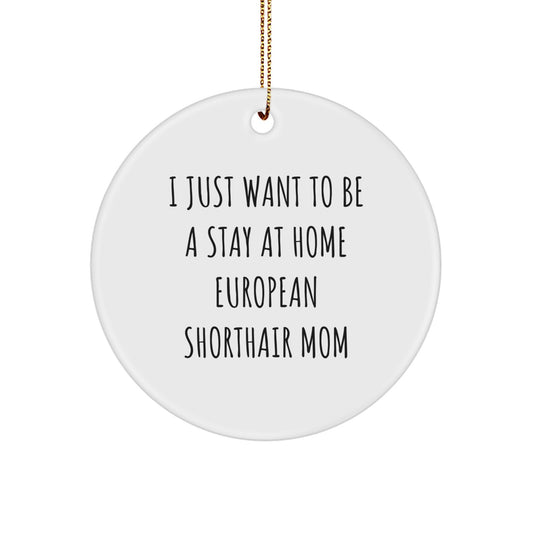 European Shorthair Cat Lover Gifts from Friends and Family, Funny Mom Quote Christmas Unique Ornaments, Circle Ornament for European Shorthair Cat - Image 1