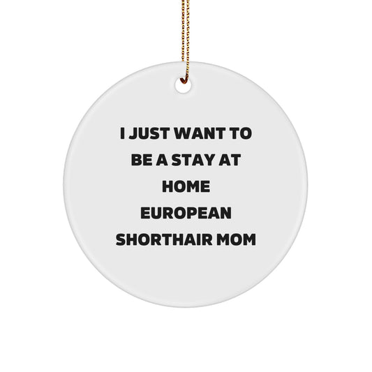 European Shorthair Cat Mom Christmas Circle Ornament Gift for Family Friends - Image 1