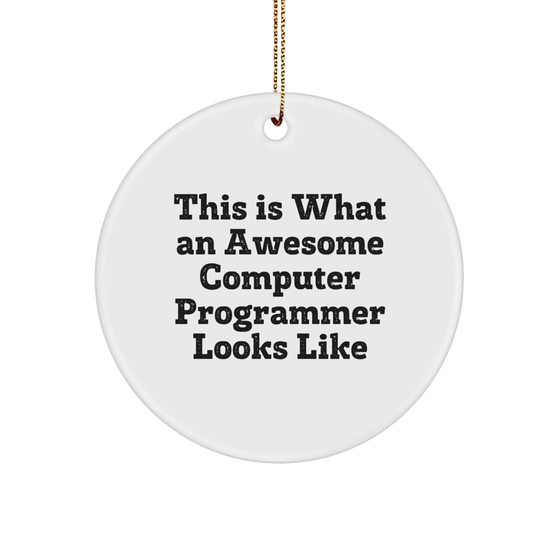 Funny Computer Programmer Gifts for Men, 'This Is What An Awesome Computer Programmer Looks Like' Christmas Unique Gifts from Family, Circle Ornament for Computer Programmer Friends - Image 1