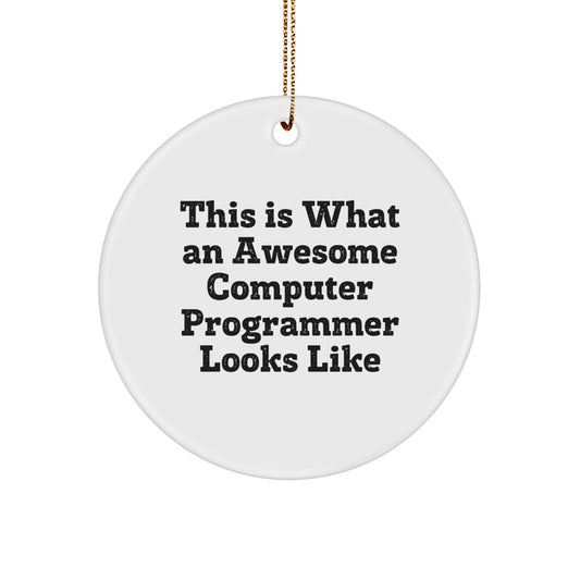 Funny Computer Programmer Gifts for Men, 'This Is What An Awesome Computer Programmer Looks Like' Christmas Unique Gifts from Family, Circle Ornament for Computer Programmer Friends - Image 1