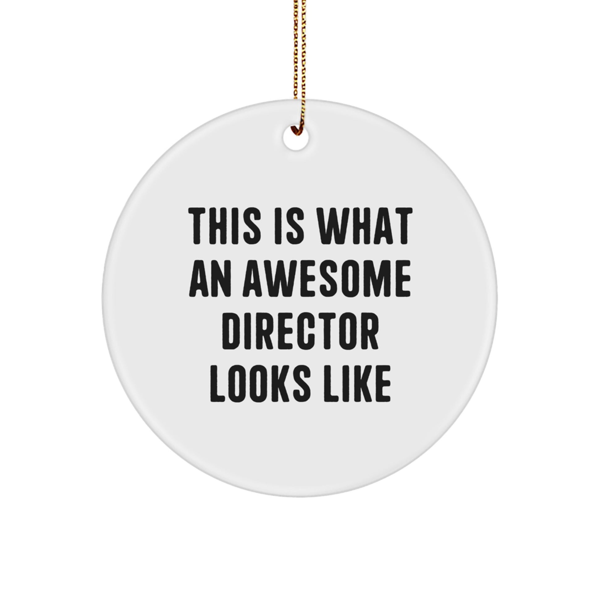 Funny Director Circle Ornament Gifts from Friends for Christmas - This Is What An Awesome Director Looks Like - Image 1