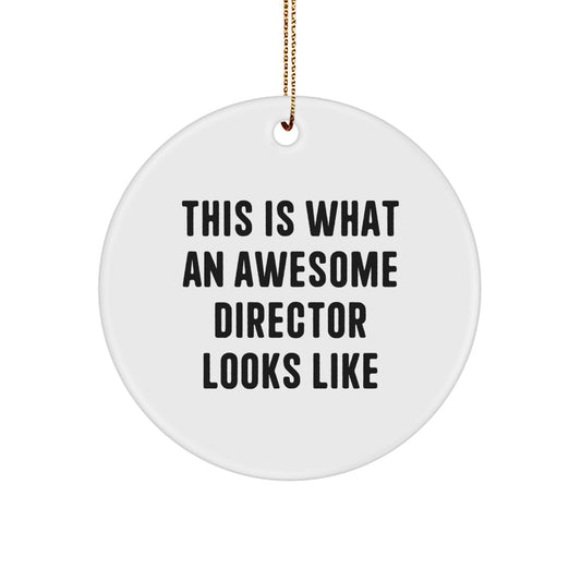 Funny Director Circle Ornament Gifts from Friends for Christmas - This Is What An Awesome Director Looks Like - Image 1