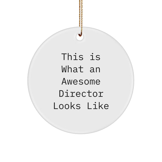 Funny Director Gifts for Him, Cute Circle Ornament with Inspirational Quote This Is What An Awesome Director Looks Like, Christmas Unique Gifts from Men - Image 1