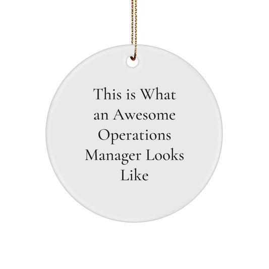 Funny Operations Manager Gifts from Friends, Unique Circle Ornaments for Christmas, 'This Is What An Awesome Operations Manager Looks Like' Quote, 2.75'' Tall - Image 1