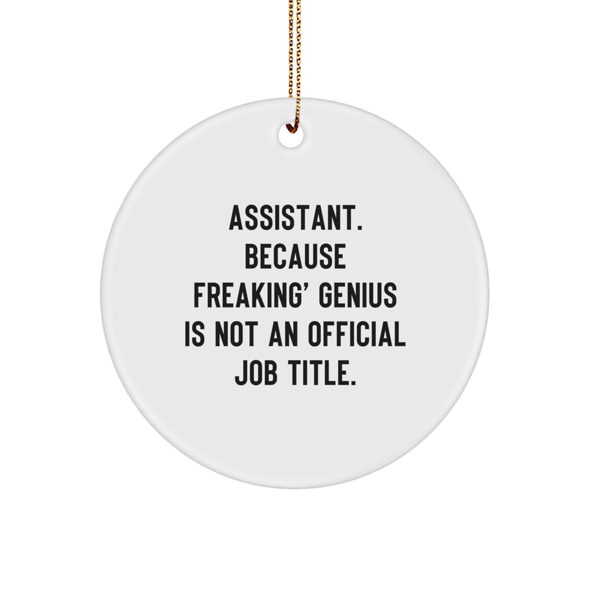 Funny Assistant Gifts from Men - Circle Ornament, Inspirational Quote, Perfect for Coworkers, Christmas Unique Ornaments for Assistant, Office Decor, Sublimation Printed - Image 1