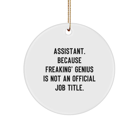Funny Assistant Gifts from Men - Circle Ornament, Inspirational Quote, Perfect for Coworkers, Christmas Unique Ornaments for Assistant, Office Decor, Sublimation Printed - Image 1