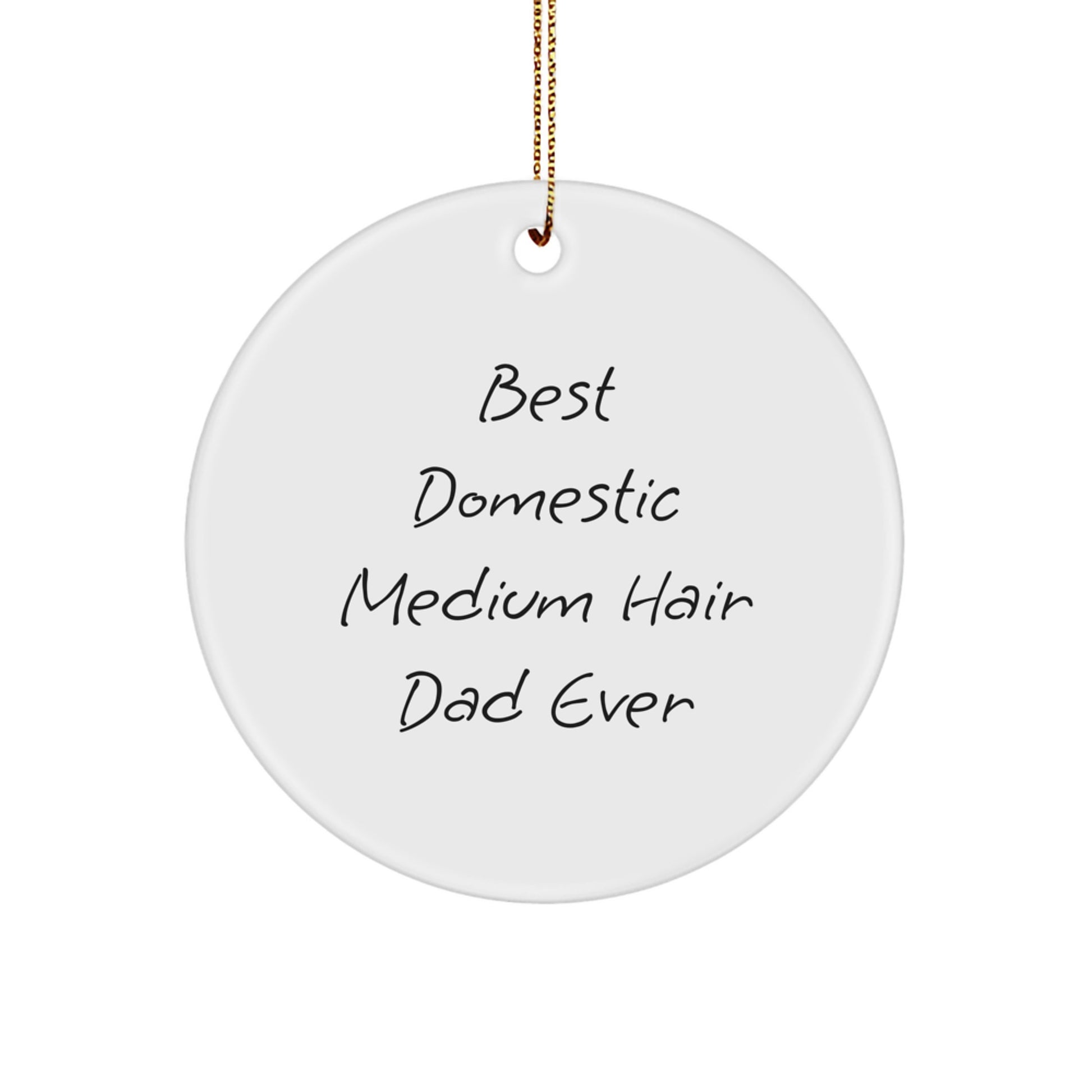 Funny Domestic Medium Hair Cat Gifts for Men from Best Dad Ever Circle Ornament, Perfect for Christmas Unique Gifts - Image 1