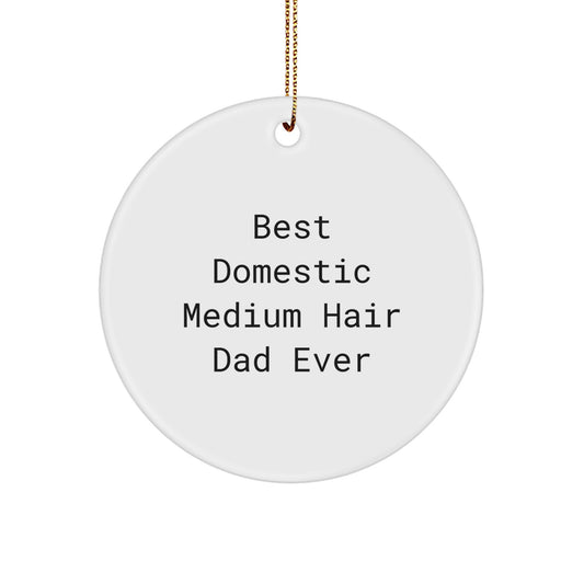 Funny Domestic Medium Hair Cat Gifts for Dad - Circle Ornament from Family, Christmas Unique Gifts - Image 1