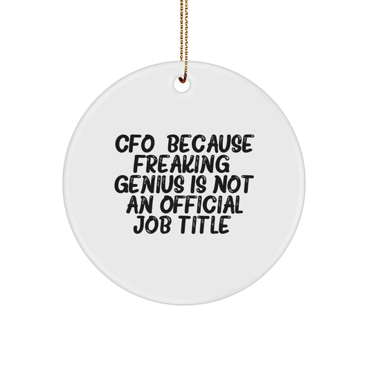 Funny CFO Gifts - Circle Ornament for Men CFOs, CFO Christmas Unique Presents, CFO Office Decor, Gifts from Men, Gifts for Men CFOs, CFO Christmas Ornaments - Image 1