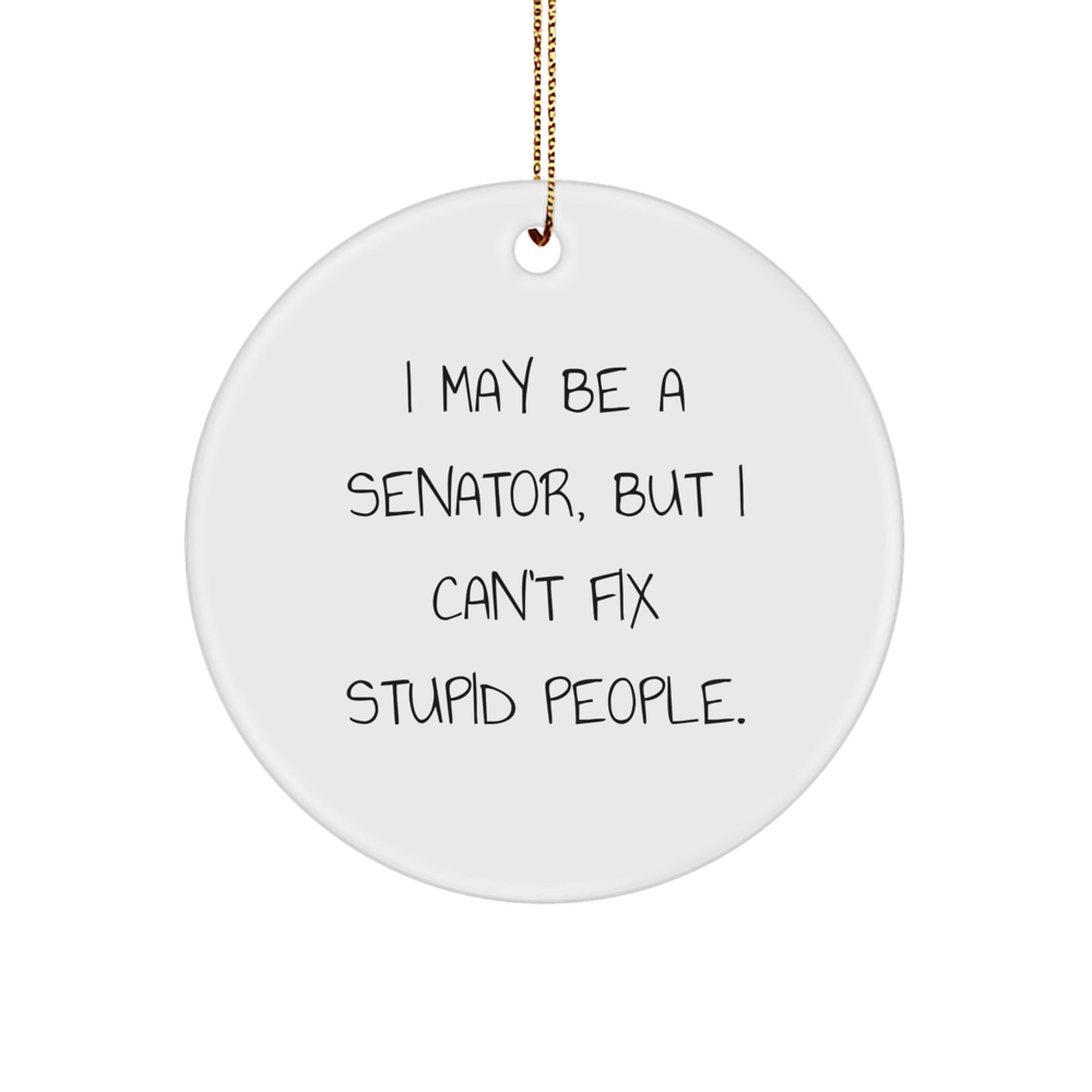 Funny Senator Circle Ornament, Gift for Senator Friends, Christmas Unique Ornaments, Senator Quotes, I May Be A Senator But I Cant Fix Stupid People Gifts from Friends - Image 1