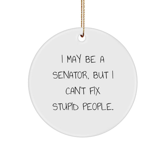 Funny Senator Circle Ornament, Gift for Senator Friends, Christmas Unique Ornaments, Senator Quotes, I May Be A Senator But I Cant Fix Stupid People Gifts from Friends - Image 1