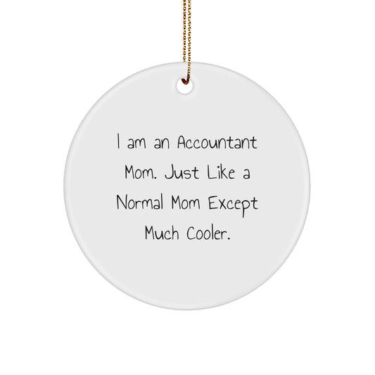 Christmas Gift for Her Accountant Mom Circle Ornament Present - Image 1