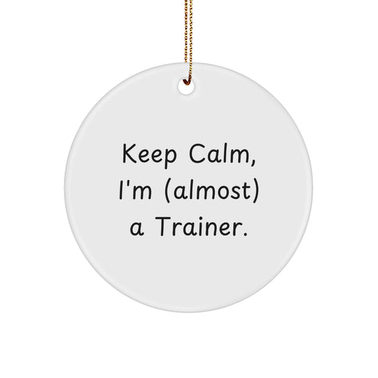 Trainer Keepsake Christmas Ornament for Him Gift - Image 1