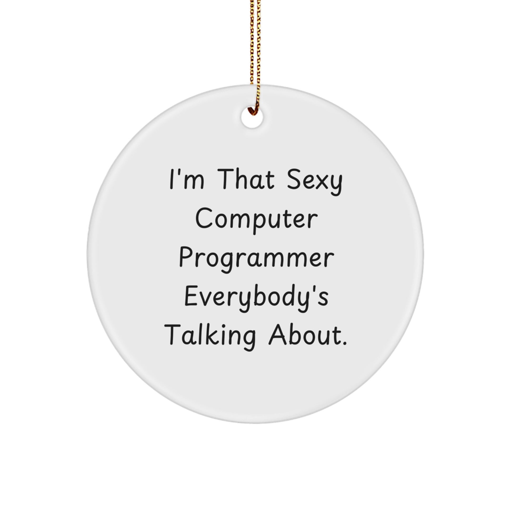 Funny Computer Programmer Gifts from Friends, I'm That Sexy Computer Programmer Everybody's Talking About. Circle Ornament for Men, Women, Family, Coworkers - Unique Christmas Unique Gift Ideas - Image 1