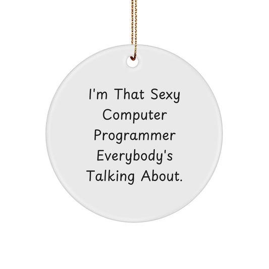 Funny Computer Programmer Gifts from Friends, I'm That Sexy Computer Programmer Everybody's Talking About. Circle Ornament for Men, Women, Family, Coworkers - Unique Christmas Unique Gift Ideas - Image 1