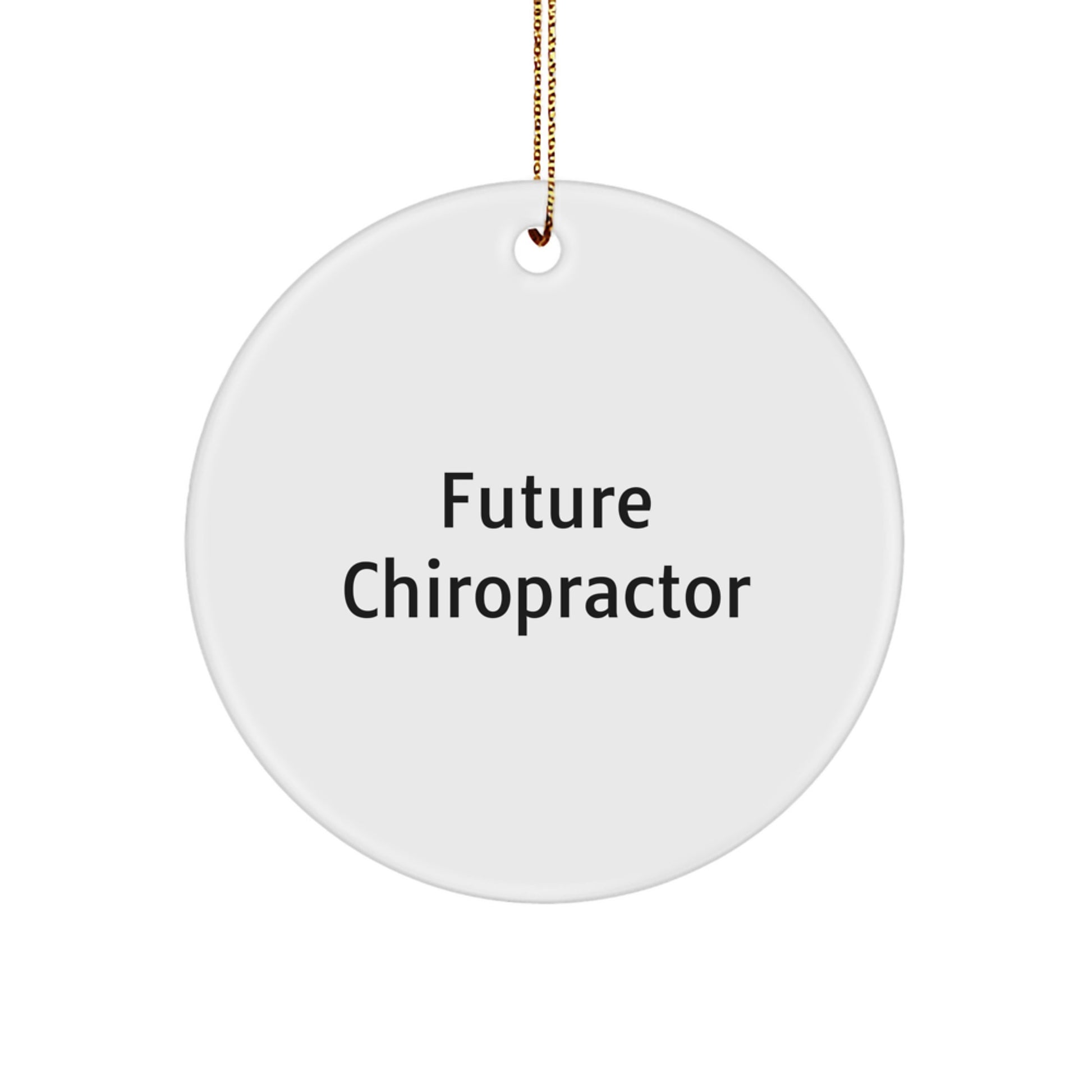 Funny Inspirational Gifts from Future Chiropractor to Chiropractor, Chiropractor Circle Ornament, Christmas Unique Gift for Chiropractor - Image 1
