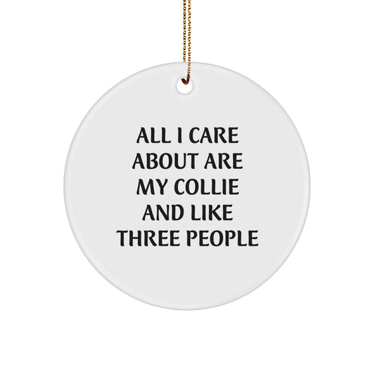 Funny Collie Dog Gifts from Family for Friends - 'All I Care About Are My Collie And Like Three People' Circle Ornament, Christmas Unique Treasures - Image 1