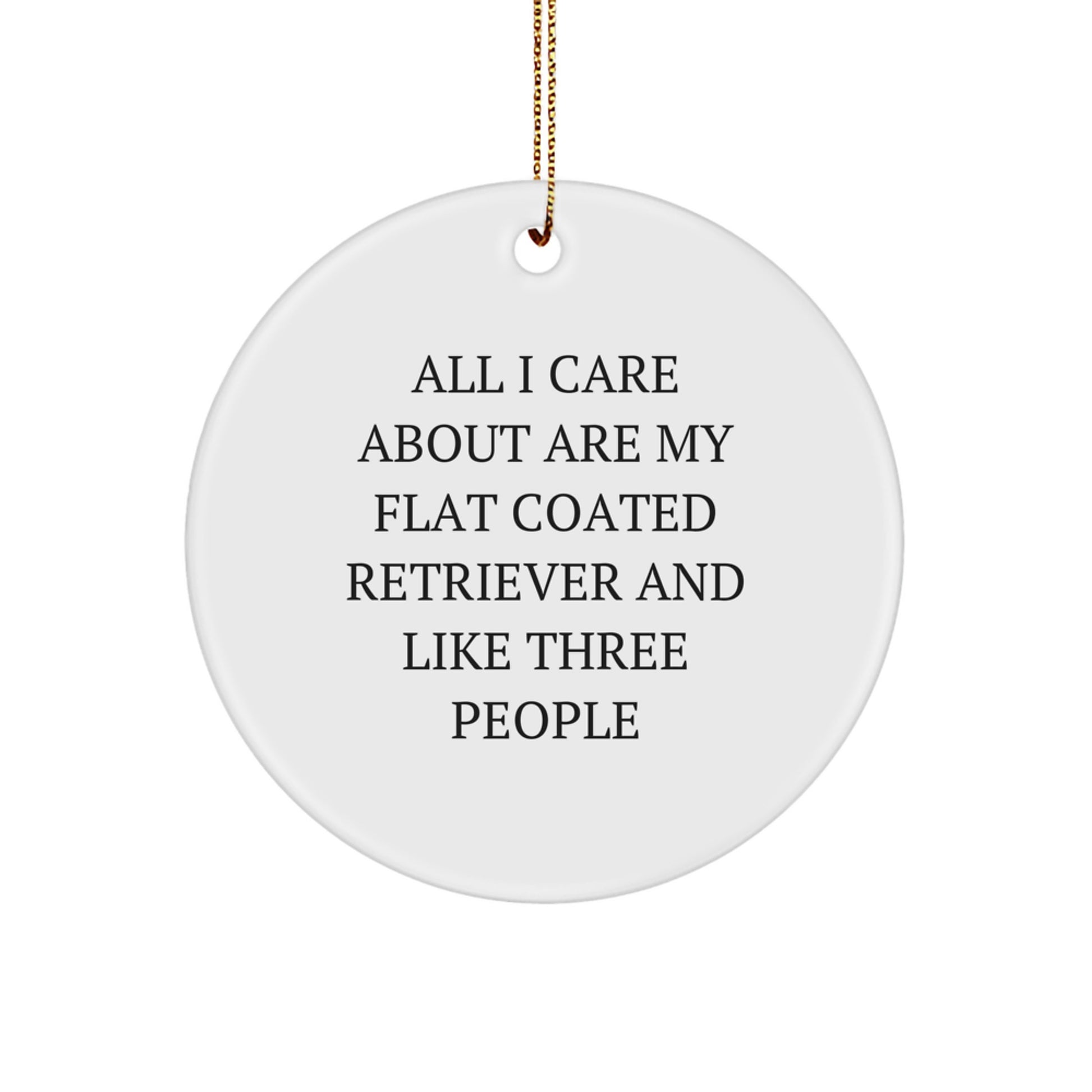 Funny Flat Coated Retriever Dog Gifts from Men to Friends, Circle Ornament with Inspirational Quote, Perfect Christmas Unique Gifts for Flat Coated Retriever Dog Lovers - Image 1