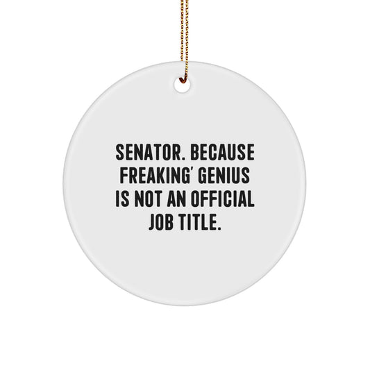 Funny Senator Circle Ornament, Gifts from Friends to Senator, Unique Christmas Unique Gifts for Senator, Senator Holiday Decorations - Image 1