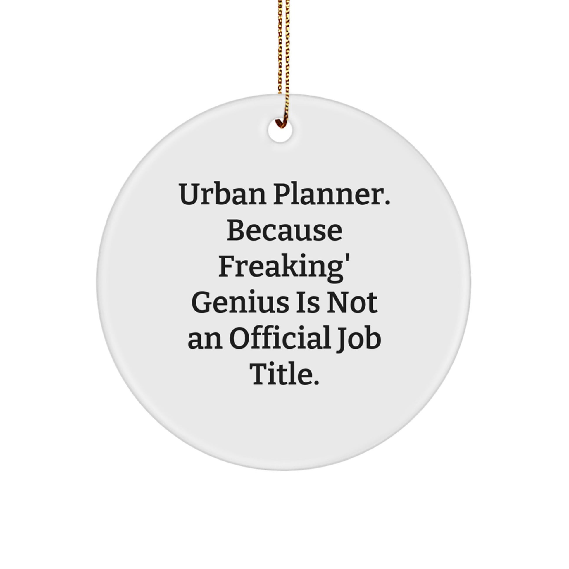 Unique Urban Planner Gifts from Men to Friends - Funny 'genius' Circle Ornament for Christmas Unique Gifts - Image 1