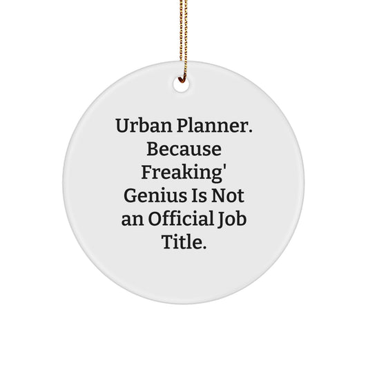 Unique Urban Planner Gifts from Men to Friends - Funny 'genius' Circle Ornament for Christmas Unique Gifts - Image 1