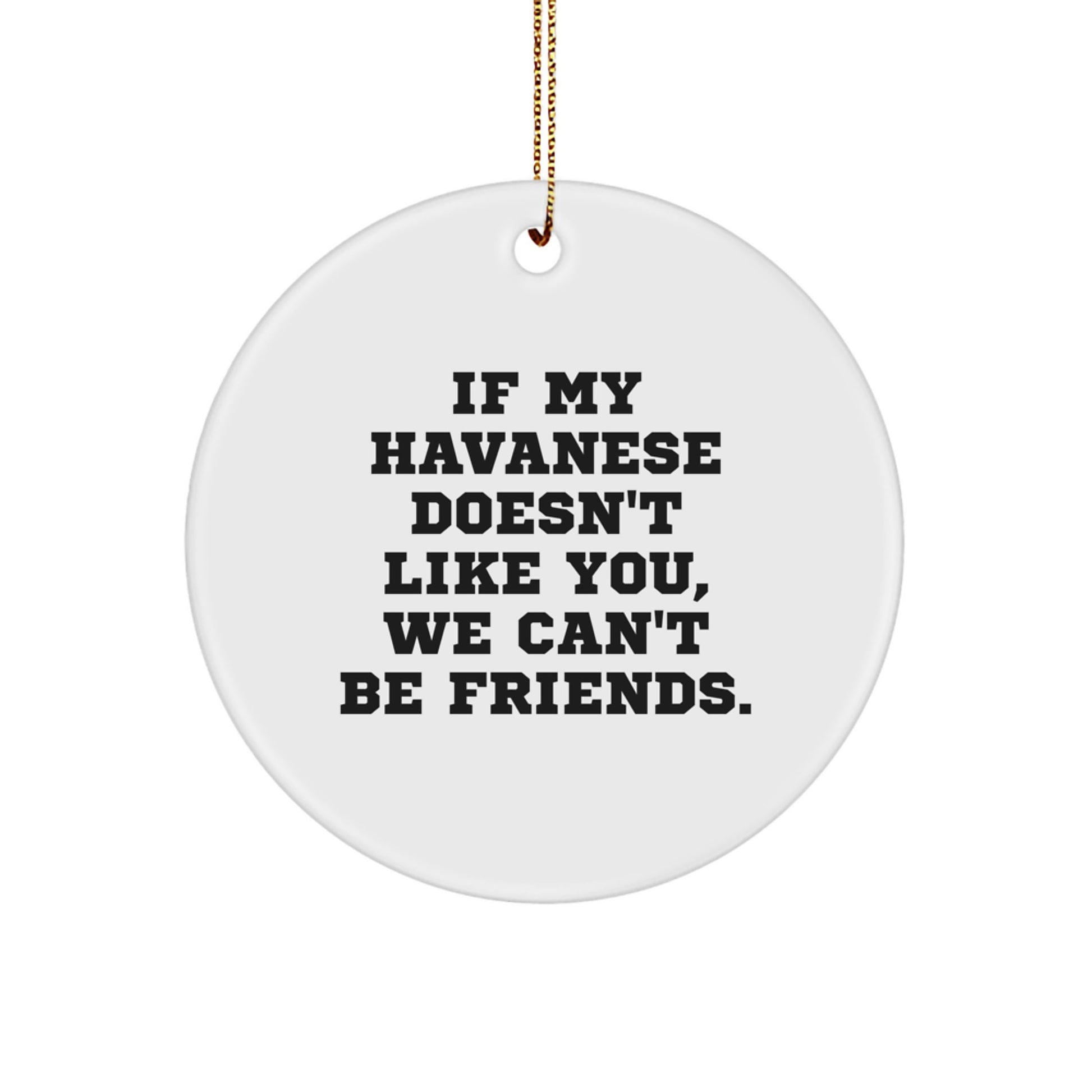 Funny Havanese Dog Christmas Circle Ornaments for Friends from Men Gifts - Image 1