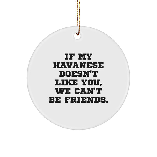 Funny Havanese Dog Christmas Circle Ornaments for Friends from Men Gifts - Image 1