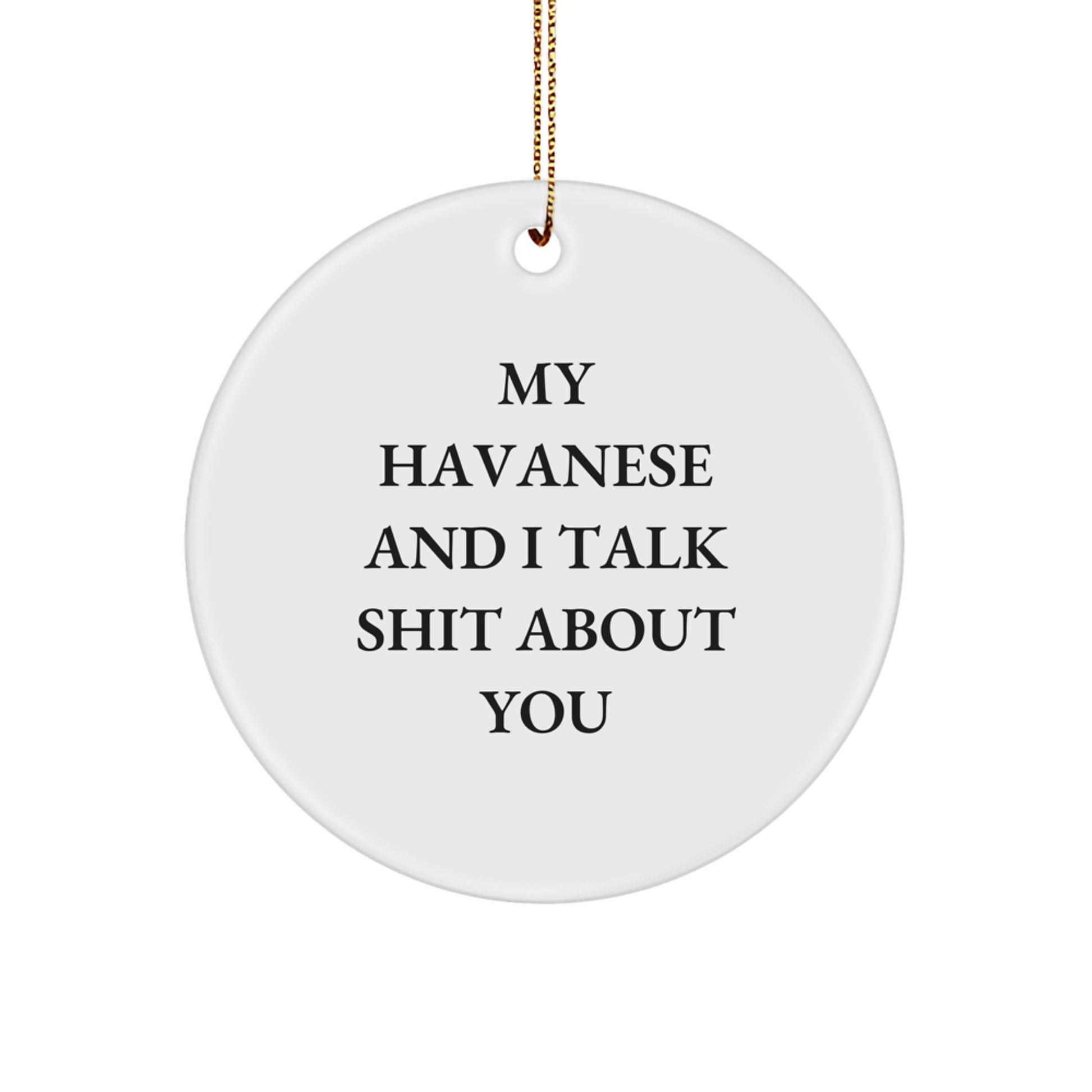 Funny Havanese Dog Gifts from Men - Circle Ornament for Havanese Dog Lovers, My Havanese And I Talk Shit About You, Christmas Unique Gifts - Image 1