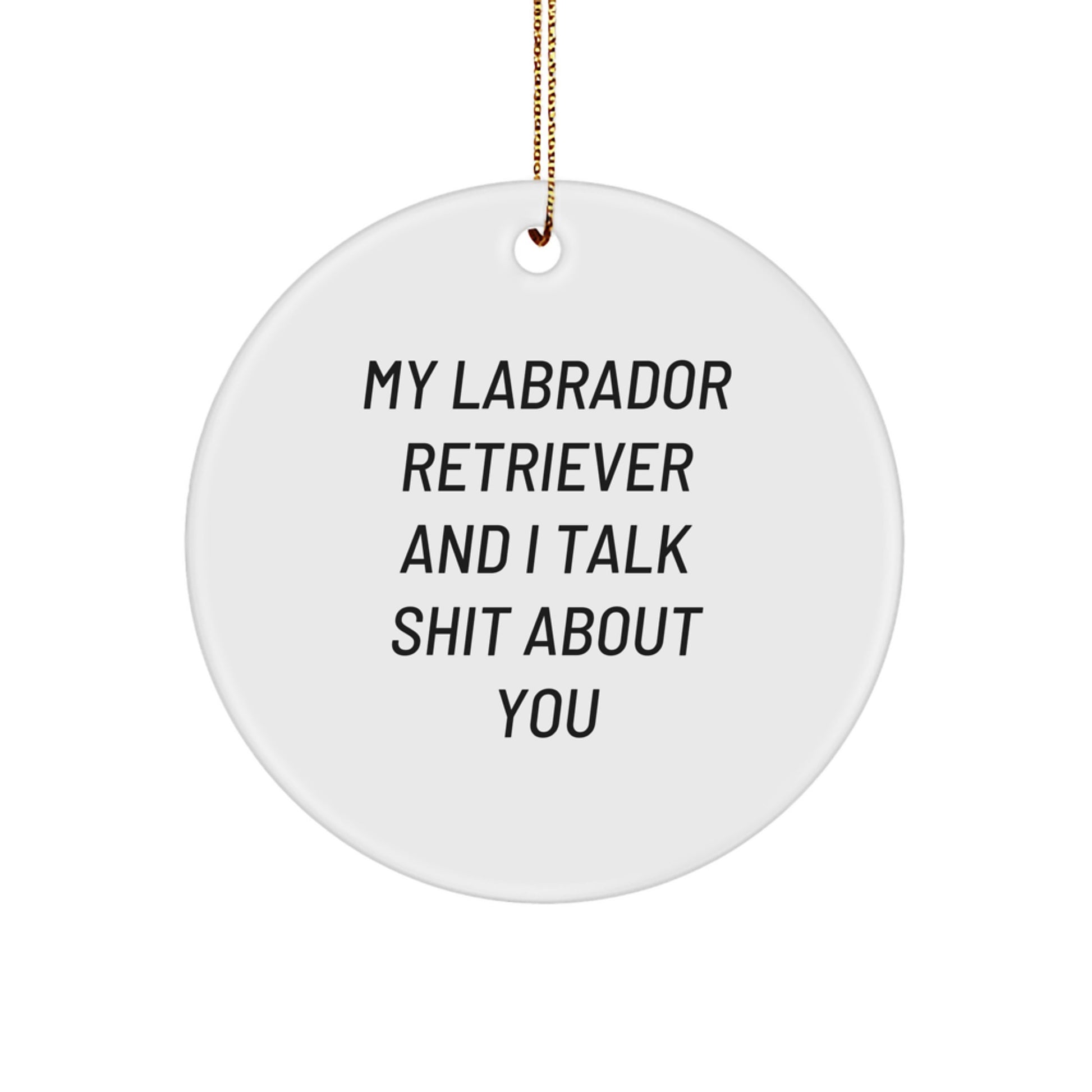 Funny Labrador Retriever Dog Christmas Unique Gifts from Friends, Labrador Retriever Dog Lover Circle Ornament, My Labrador Retriever And I Talk Shit About You Quote - Image 1
