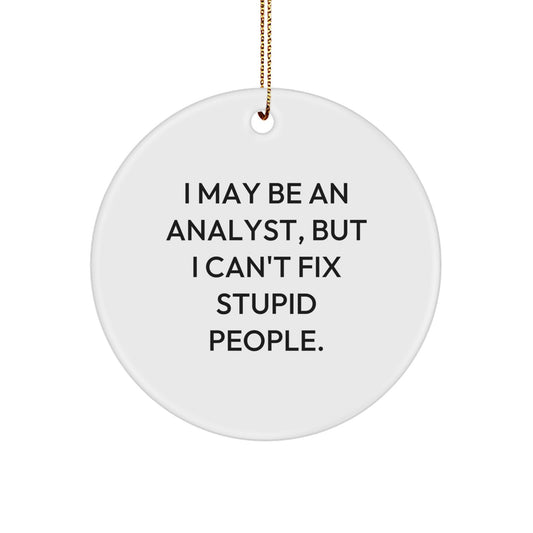 Funny Analyst Gifts from Friends, I May Be An Analyst, But I Cant Fix Stupid People. Christmas Unique Circle Ornament for Coworkers - Image 1