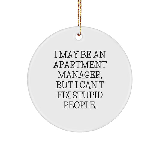 Funny Apartment Manager Gifts from Family, Unique Christmas Circle Ornament for Apartment Managers, 'I May Be An Apartment Manager, But I Cant Fix Stupid People' Office Decor - Image 1