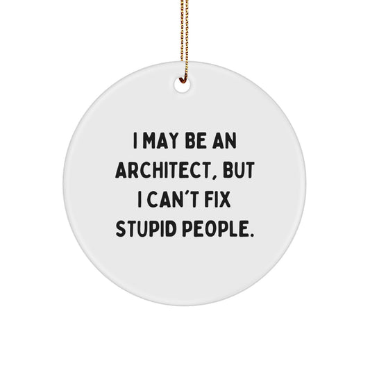 Funny Architect Gifts for Men Women Friends - I May Be An Architect But I Cant Fix Stupid People Christmas Circle Ornament - Image 1