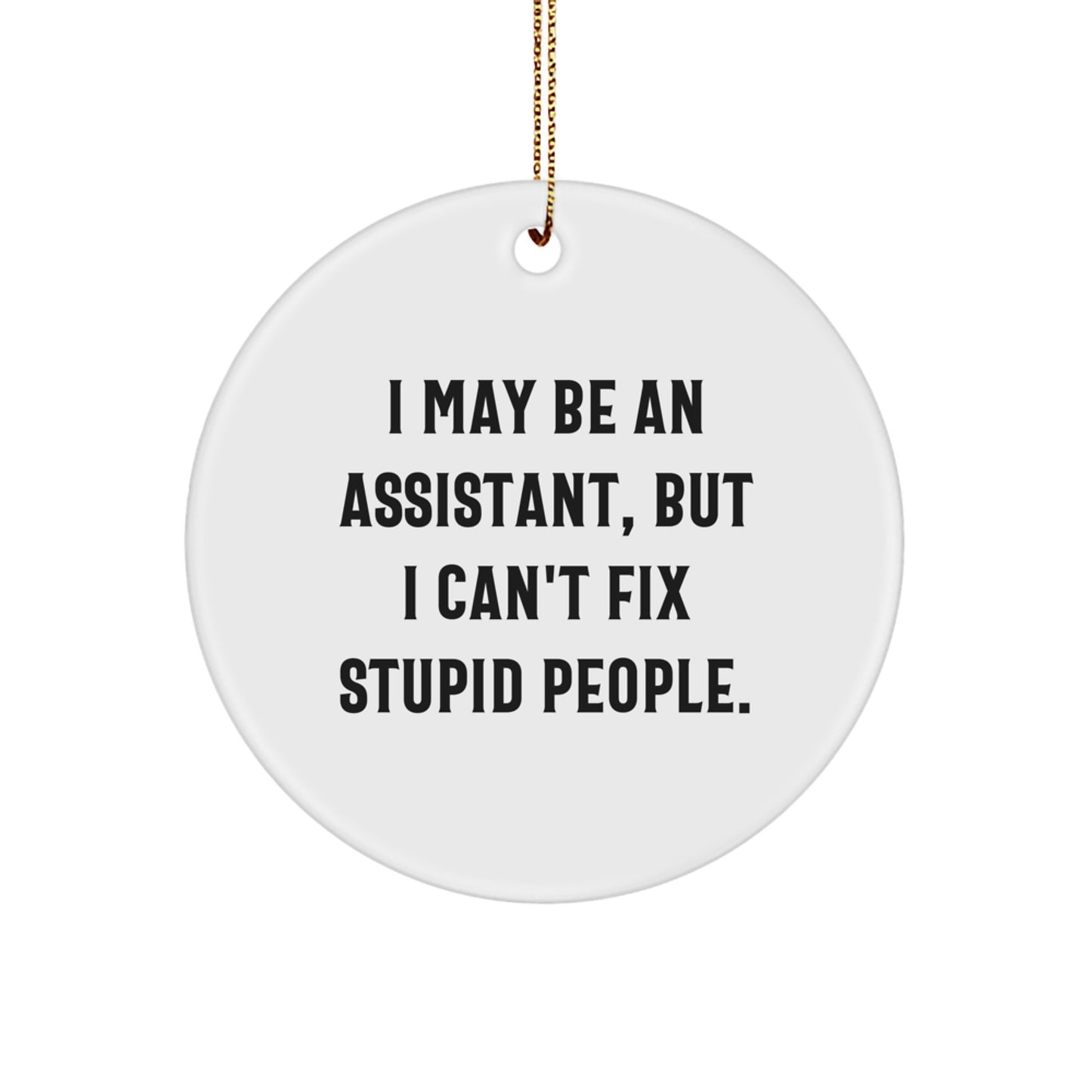 Funny Assistant Gifts from Men - I May Be An Assistant, But Friends Can't Fix Stupid People. Christmas Unique Circle Ornament for Coworkers and Family - Image 1