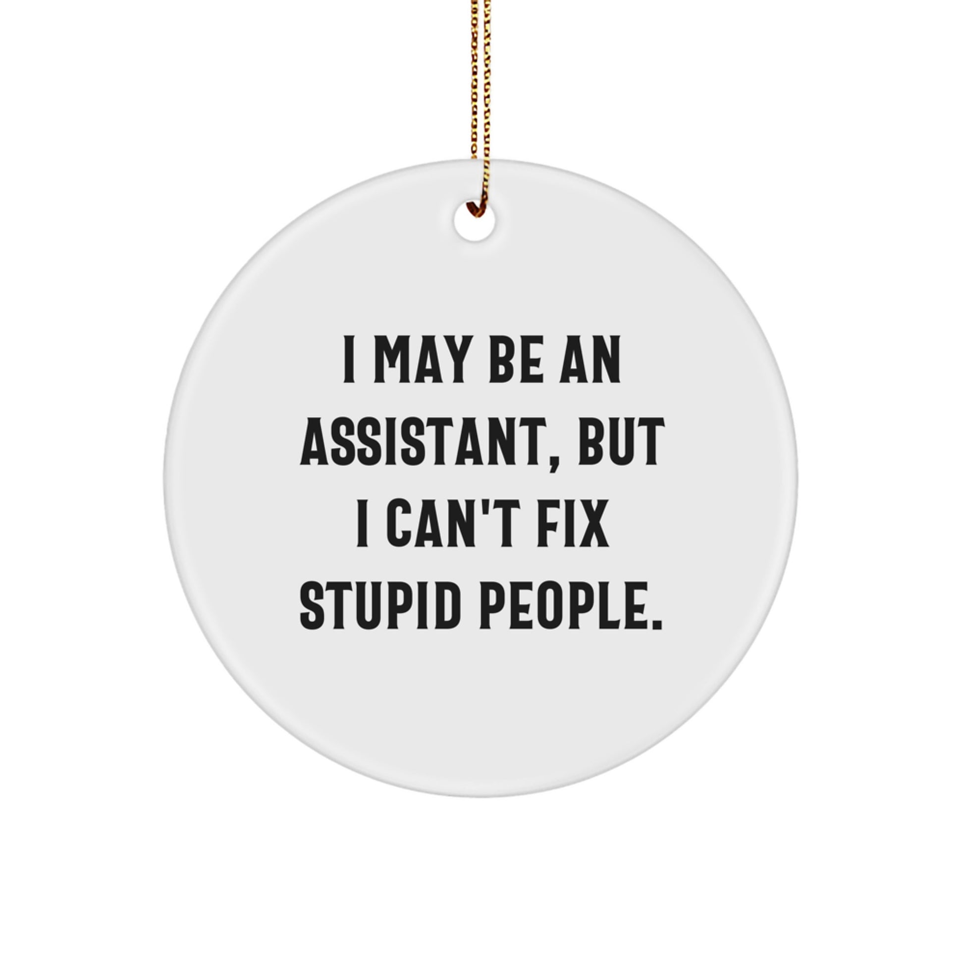 Funny Assistant Gifts from Men - I May Be An Assistant, But Friends Can't Fix Stupid People. Christmas Unique Circle Ornament for Coworkers and Family - Image 1