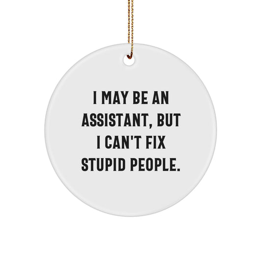 Funny Assistant Gifts from Men - I May Be An Assistant, But Friends Can't Fix Stupid People. Christmas Unique Circle Ornament for Coworkers and Family - Image 1