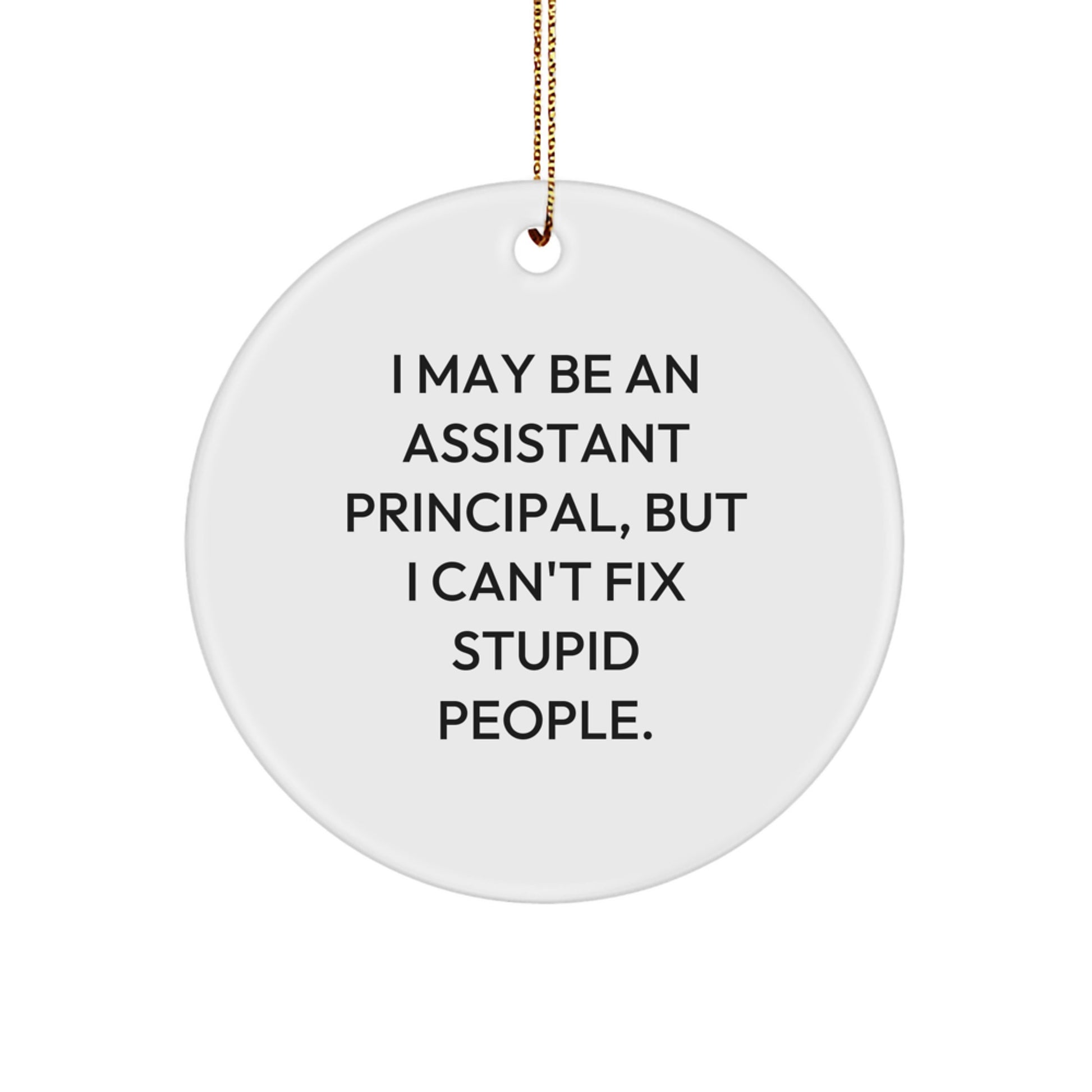 Funny Gifts from Men for Assistant Principals - I May Be An Assistant Principal, But I Can't Fix Stupid People. Christmas Unique Circle Ornament for Men - Image 1