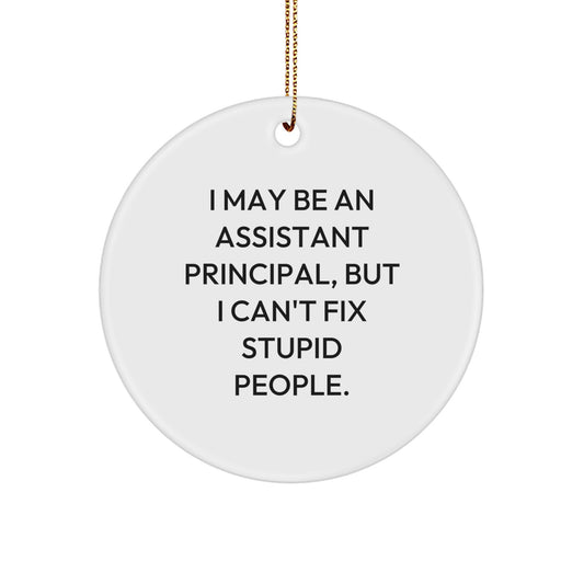 Funny Gifts from Men for Assistant Principals - I May Be An Assistant Principal, But I Can't Fix Stupid People. Christmas Unique Circle Ornament for Men - Image 1