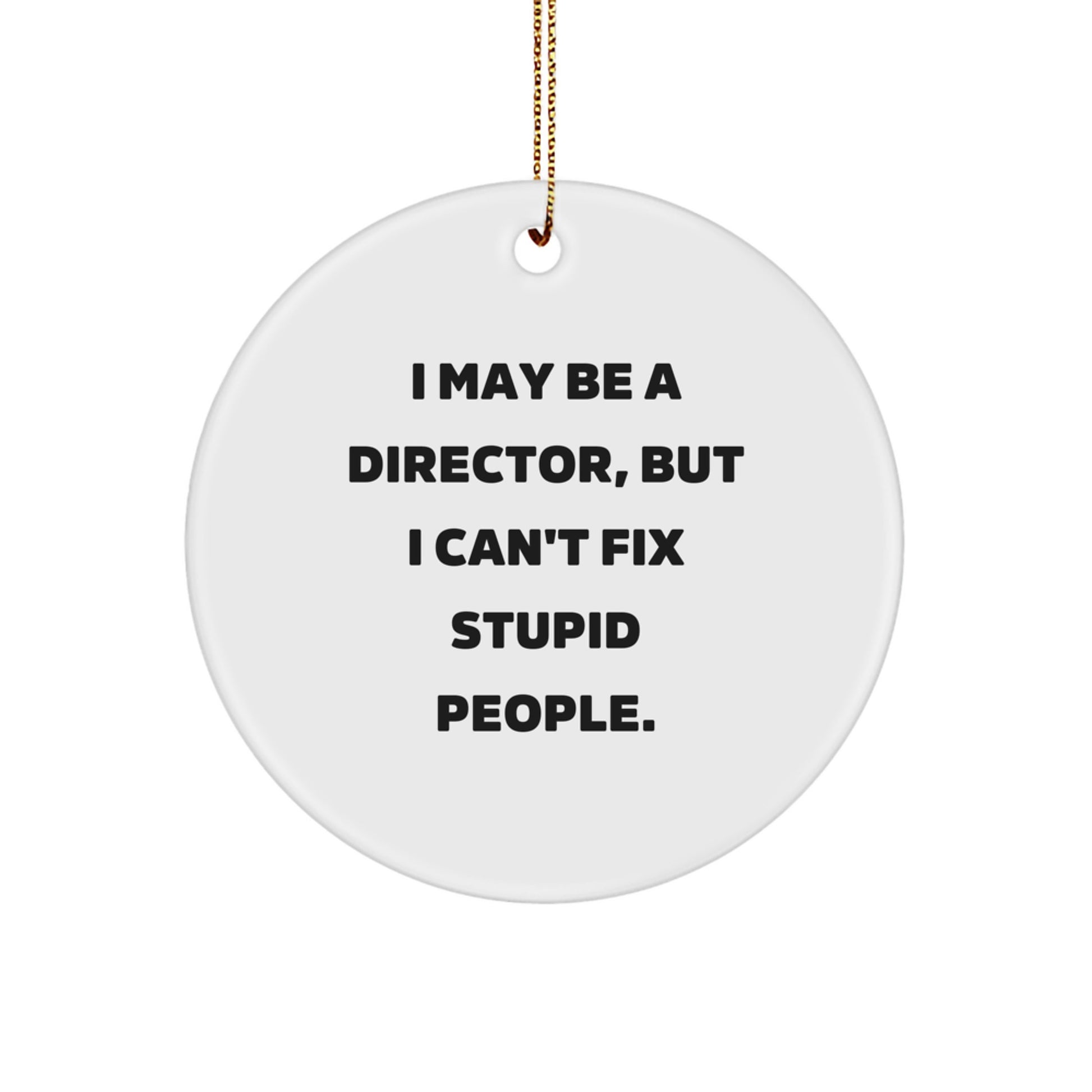 Funny Director Christmas Unique Gifts from Friends - I May Be A Director But I Cant Fix Stupid People Circle Ornament - Image 1