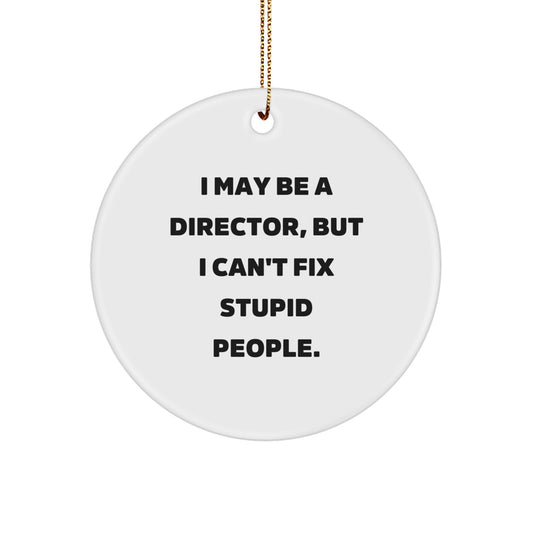 Funny Director Christmas Unique Gifts from Friends - I May Be A Director But I Cant Fix Stupid People Circle Ornament - Image 1