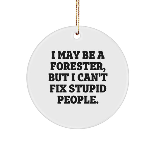 Funny Forester Gifts for Men, 'I May Be A Forester, But I Can't Fix Stupid People' Christmas Unique Circle Ornament, Gifts from Friends or Family - Image 1
