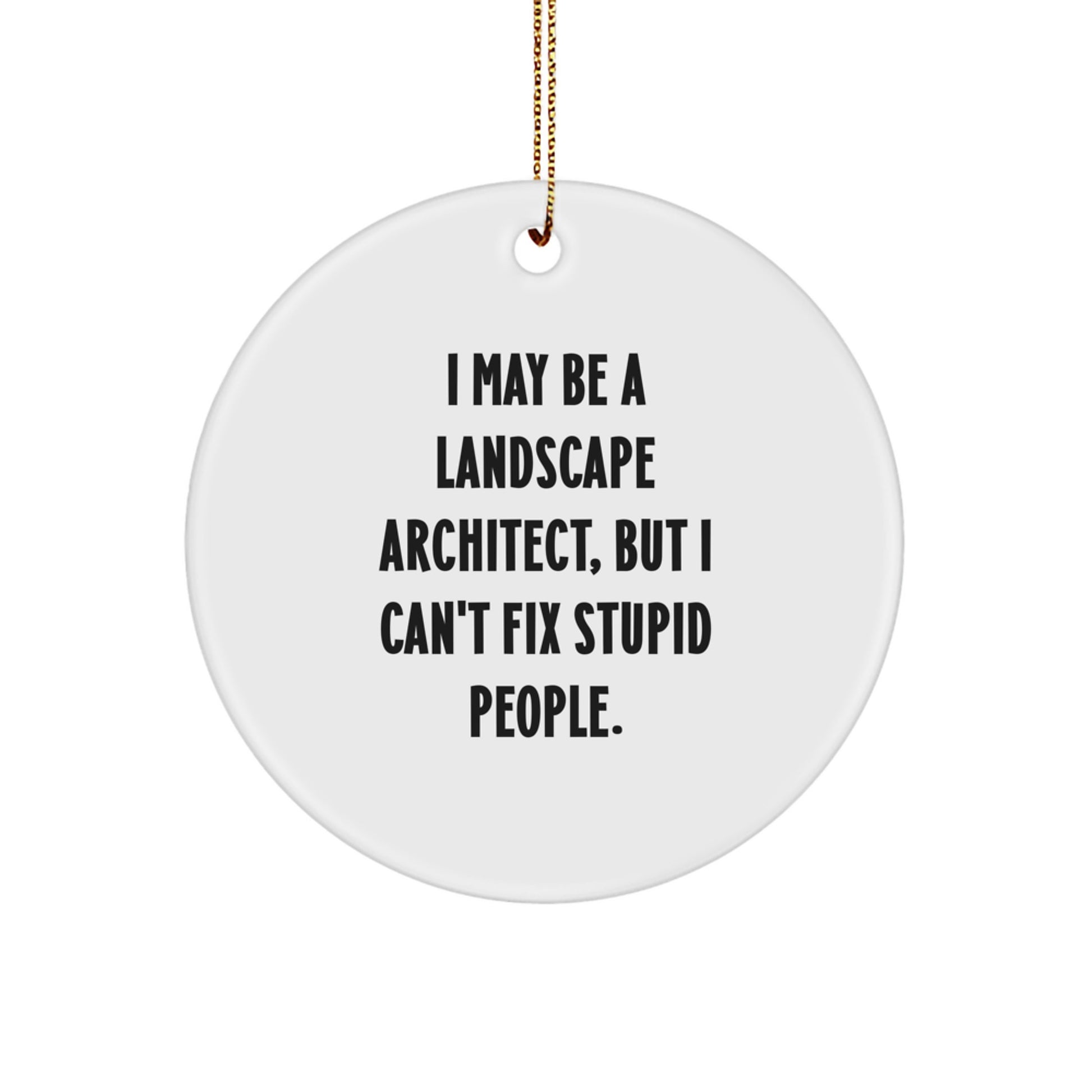 Funny Gift Ideas for Landscape Architect, 'I May Be A Landscape Architect, But I Can't Fix Stupid People.' Circle Ornament, White, Christmas Unique Gifts from Friends for Landscape Architect Men - Image 1