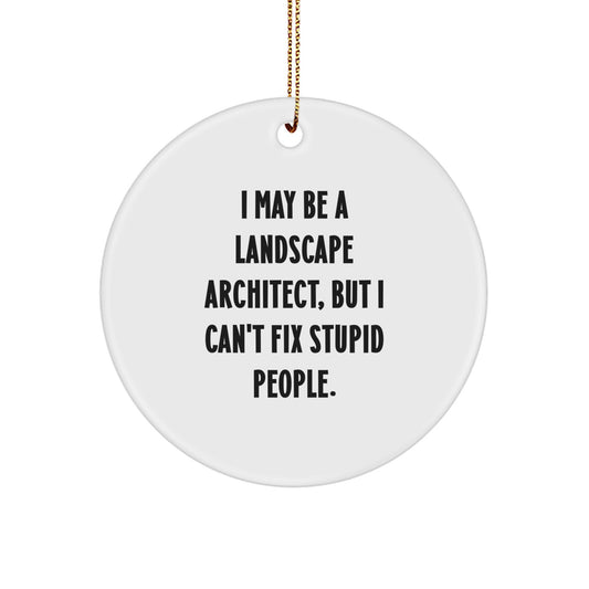 Funny Gift Ideas for Landscape Architect, 'I May Be A Landscape Architect, But I Can't Fix Stupid People.' Circle Ornament, White, Christmas Unique Gifts from Friends for Landscape Architect Men - Image 1