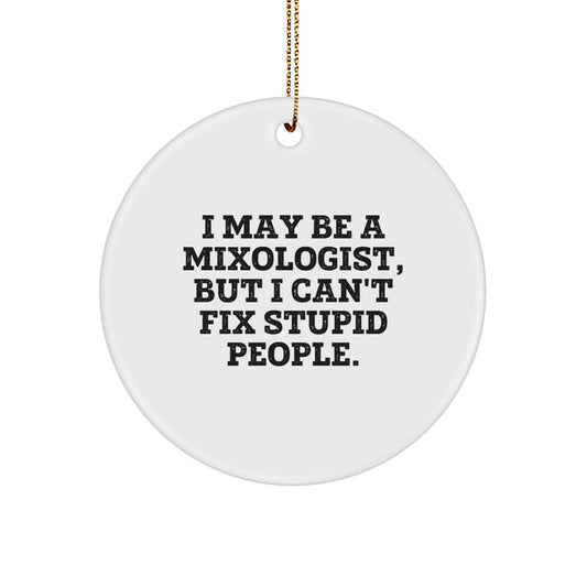 Funny Mixologist Gifts for Men Friends from 'I May Be A Mixologist, But I Can't Fix Stupid People.', Circle Ornaments for Christmas - Image 1