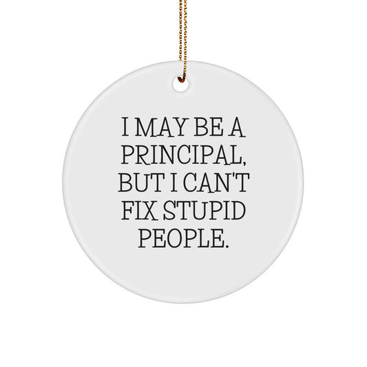 Funny Principal Gifts from Men for Men - I May Be A Principal, But I Can't Fix Stupid People. Christmas Ornament - Image 1