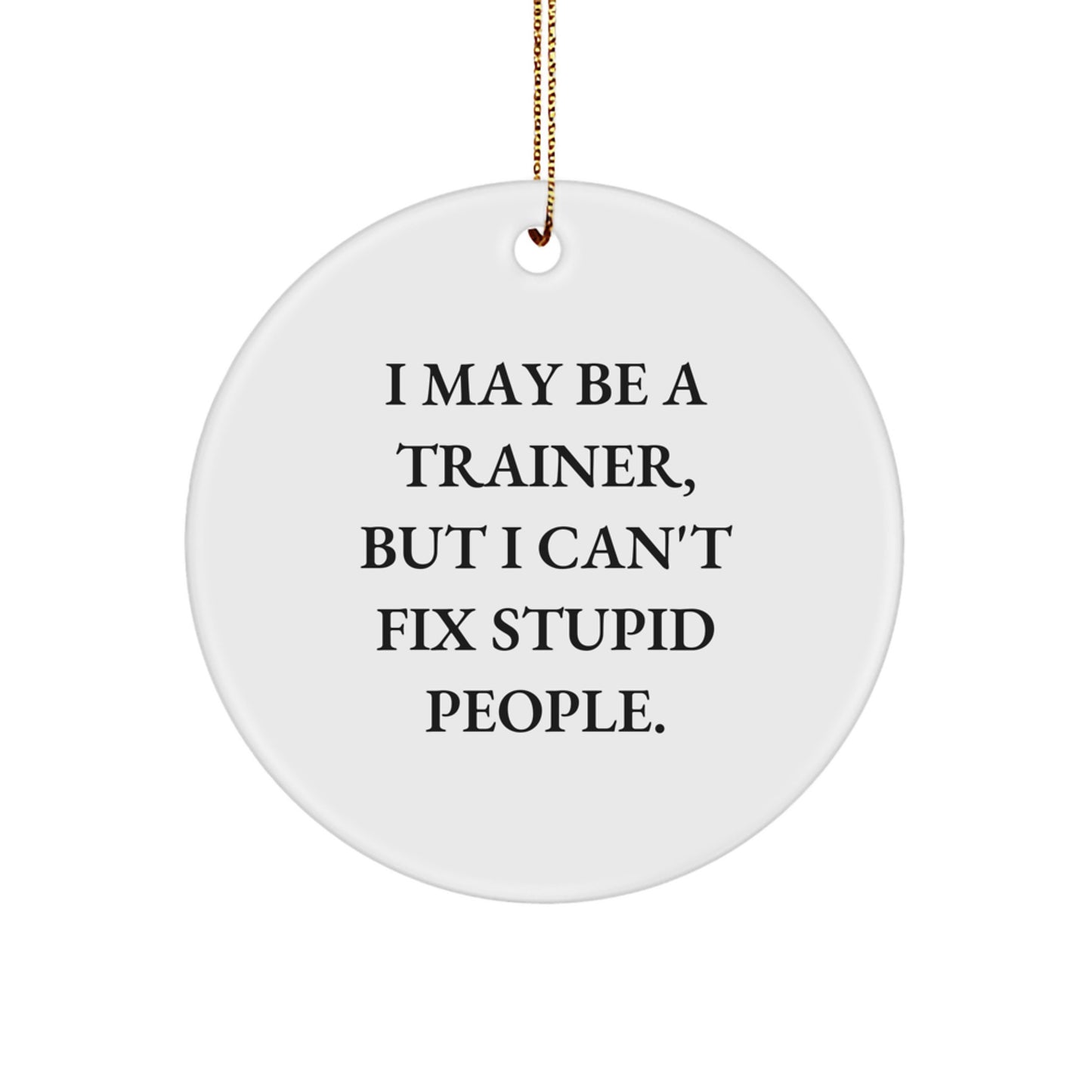 Funny Trainer Gifts from Friends and Family - Christmas Unique Ornaments for Trainers with 'I May Be A Trainer, But I Can't Fix Stupid People.' Quote - Image 1